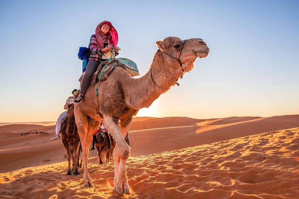 Ab Fes: Private 3-Tages-Tour von der Merzouga-Wüste nach Marrakesch