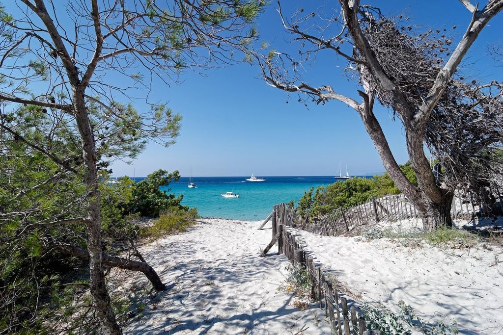Von Calvi aus: Geführte Jeep-Tour durch die Agriate nach Lotu und Saleccia