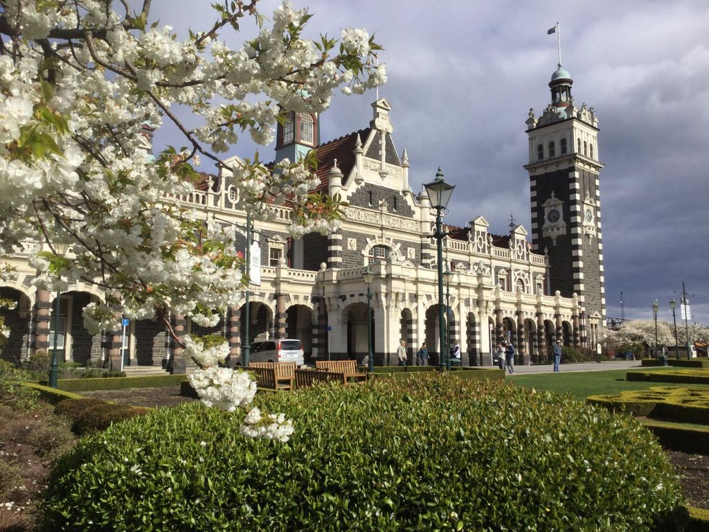 Dunedin: Kleingruppe Stadt Highlights Tour