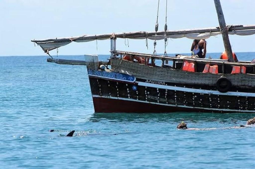 Mombasa: Schnorcheln, Delfinbeobachtung, Meeresfrüchte-Mittagessen.