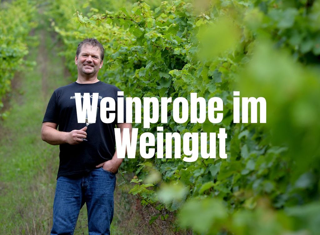 Pommern/Mosel: Weinprobe beim Winzer
