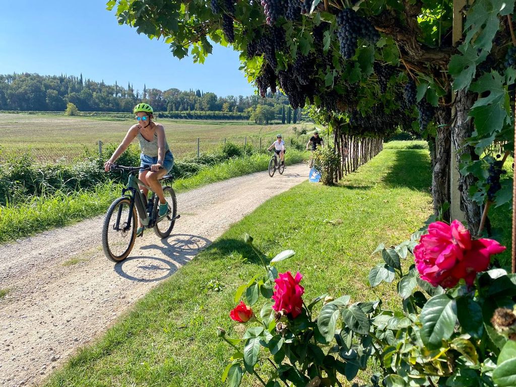Lazise: E-Bike-Tour auf dem Land mit Weinverkostung