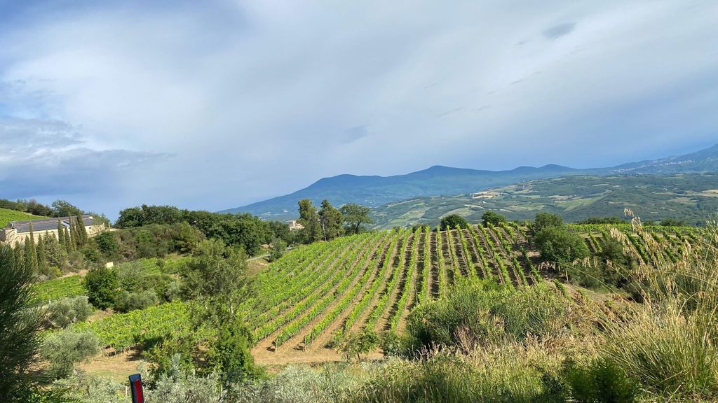 Verkostungstag im Land der Super-Toskaner ab Lucca