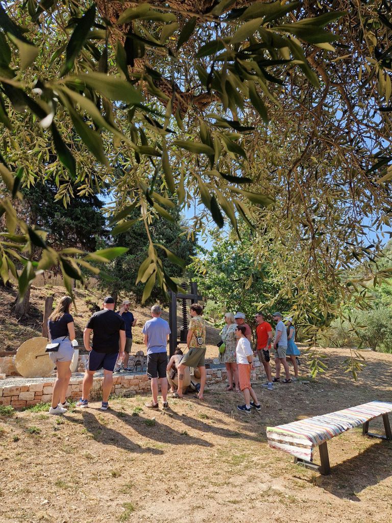 Nord-Korfu: Oliventour mit Olivenölverkostung und Mezze