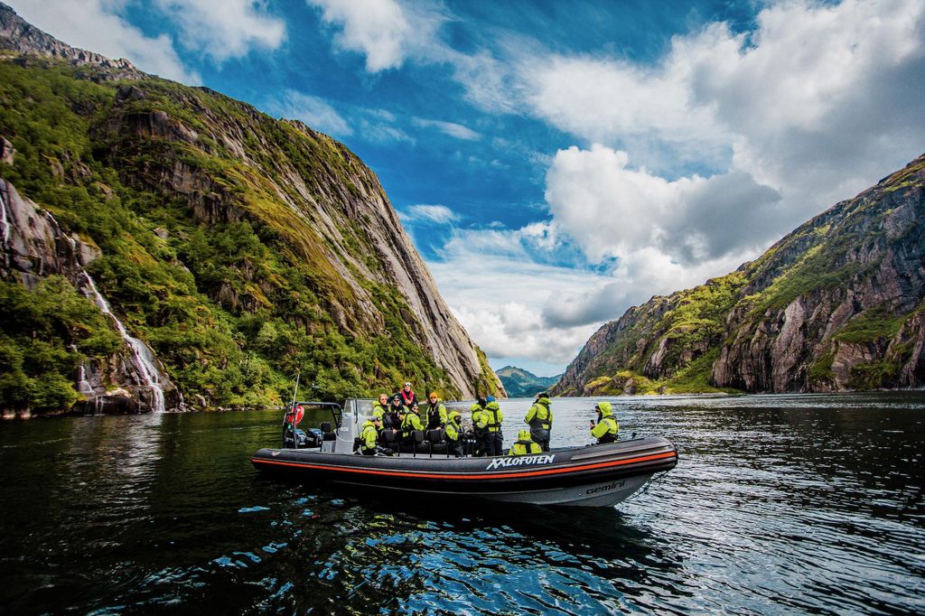 Von Svolvaer: Seeadler-Safari zum Trollfjord