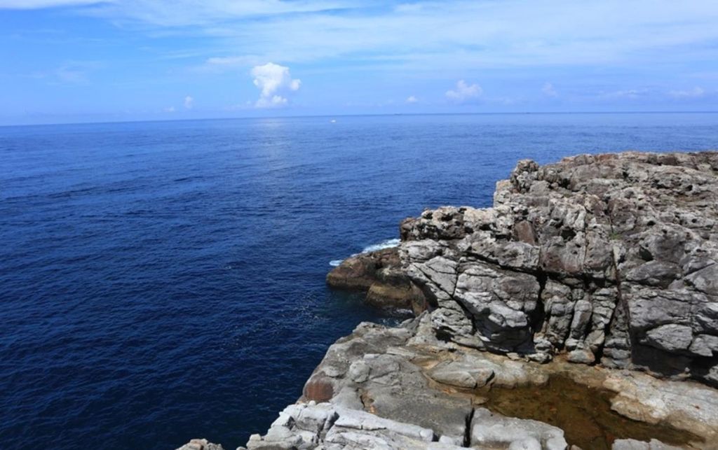Von Osaka: Tages-Tour zur Küstenlandschaft von Shirahama