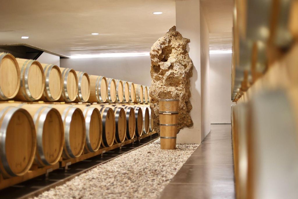 Besuche die Hügel des Gebiets Treviso und seine vollmundigen Weine