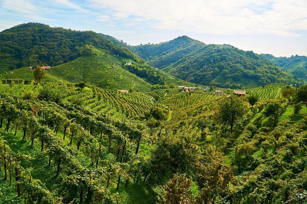 Valdobbiadene: Prosecco private Tour & Verkostung mit Sommelier