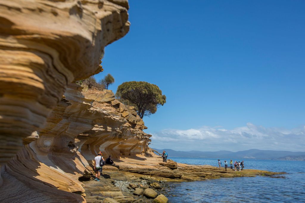 Hobart: Ganztagestour im Maria Island National Park