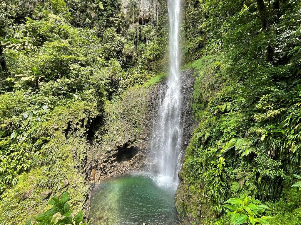 Dominica: Regenwald-Abenteuer mit Schwimmen im Wasserfall