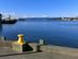 Wellington Harbour 