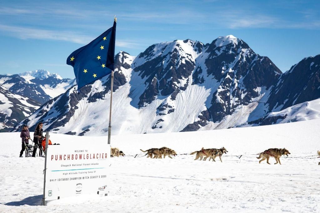 Ankerplatz: Hubschrauber-Gletscher-Hundeschlitten-Tour