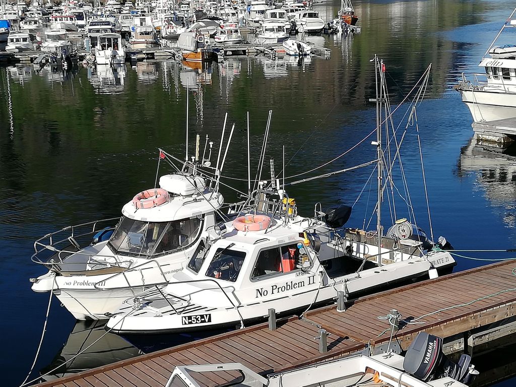 Svolvaer: Angelausflüge mit persönlicher Note