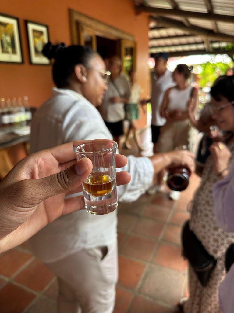 Mauritius: Wein-, Bier- und Rumverkostungstour mit Mittagessen