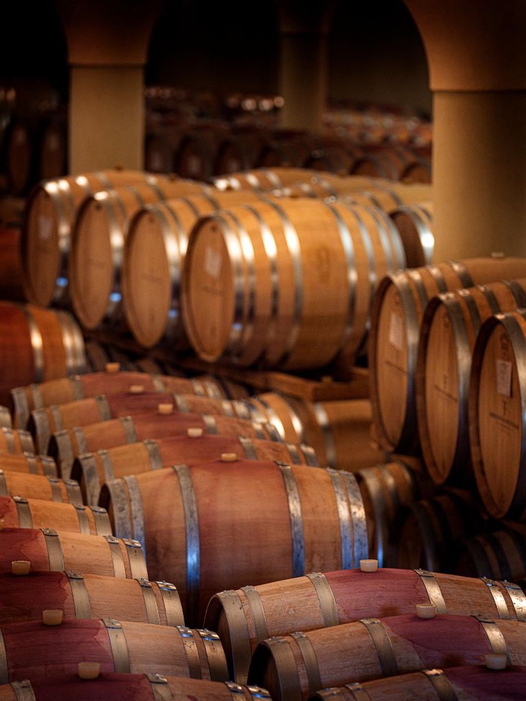 Greve in Chianti: Weinprobe & Keller-Tour