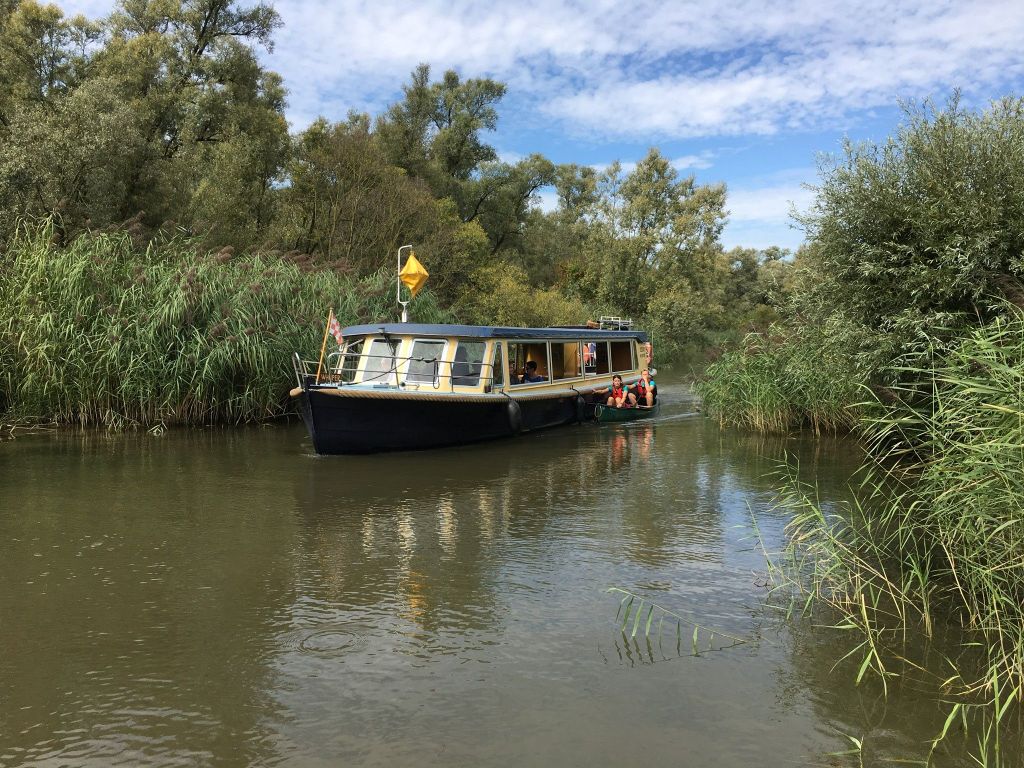 Werkendam: Bootstour und Ticket für das Biesbosch Museum