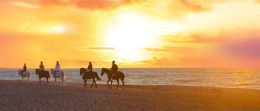 Rhodos: Reiten am Strand bei Sonnenuntergang
