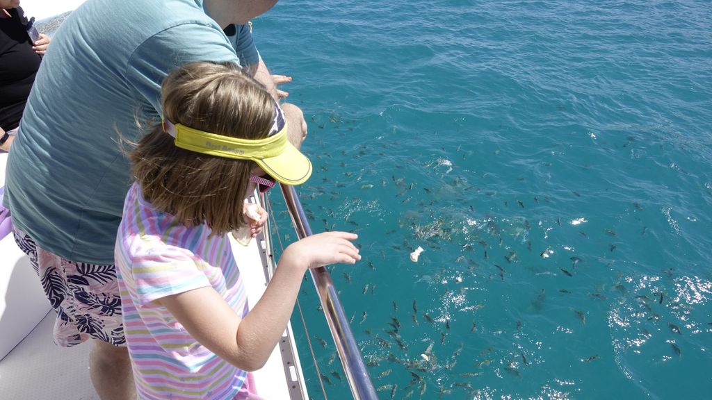 Mahe: St. Anne Marine National Park Riffsafari mit Mittagessen