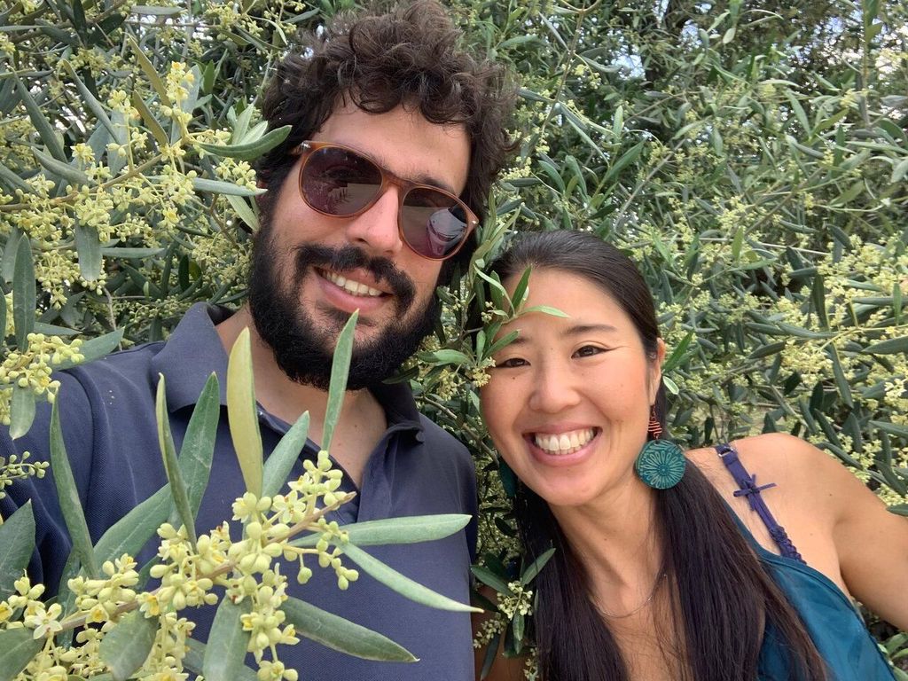 Spaziergang durch Olivenhaine, apulisches Essen und Olivenölverkostung