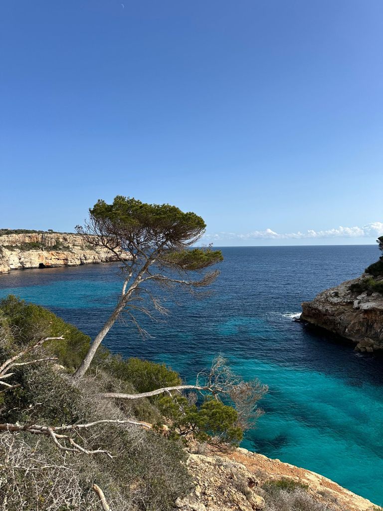Cala Figuera: KüstenWanderung leichte Tour