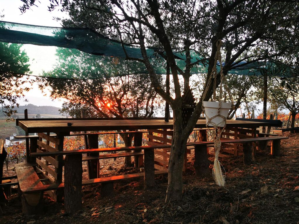 Iss in den Weinbergen wie ein Duriense.