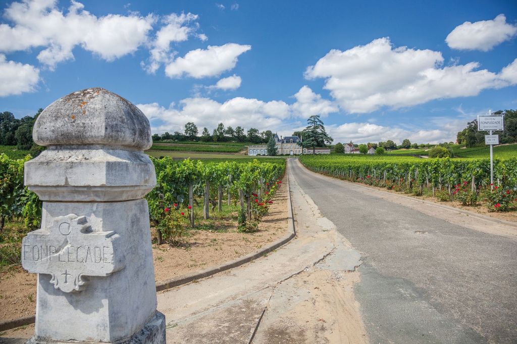 Von Bordeaux aus: Ganztagestour zur Weinverkostung in St. Emilion
