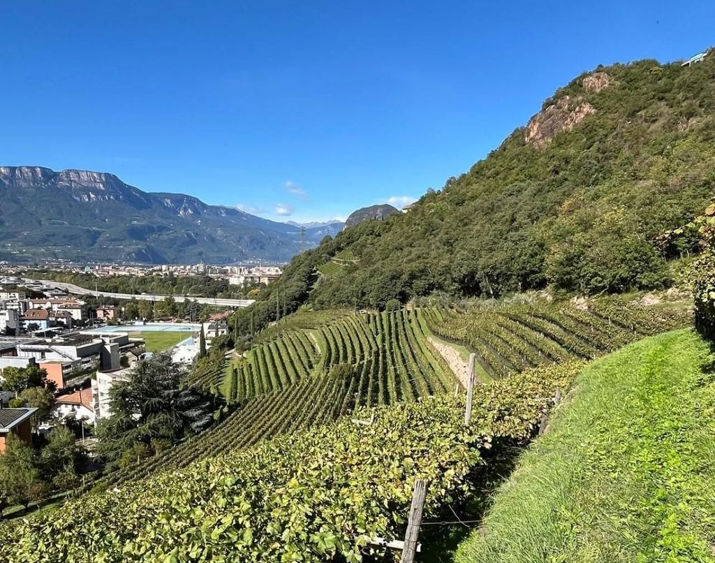 Bozen entdecken: Geschichte & Natur mit Weinprobe am Thurnhof