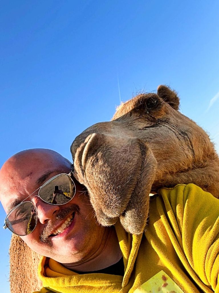 Halbtägige lizenzierte Touren in Kuwait-Stadt & Wüste, inklusive Abholung und Rücktransport