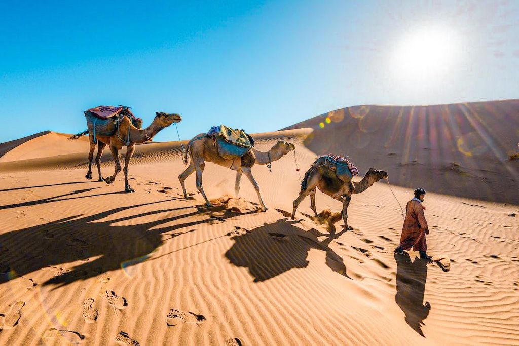 Von Fès nach Marrakesch: 3-tägige Entdeckungstour durch die Sahara