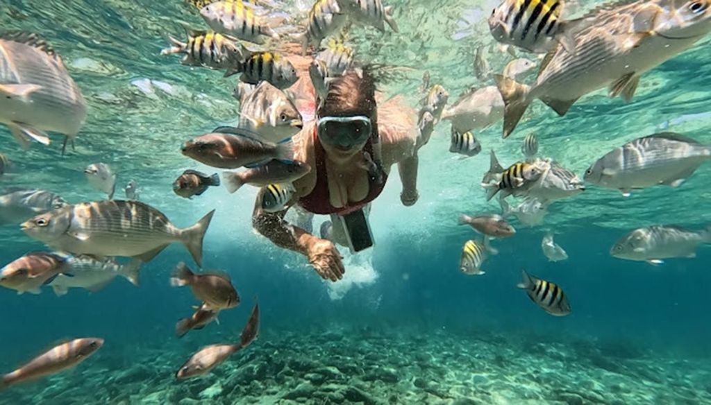 Cartagena: Ausflug zu den Rosario-Inseln und Playa Blanca mit Schnorcheln oder Aquarium