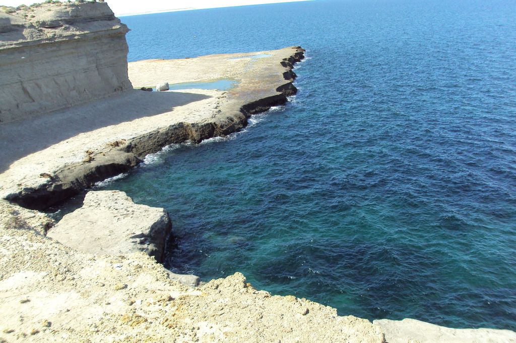 Ab Puerto Madryn: Ganztagestour zur Valdes-Halbinsel