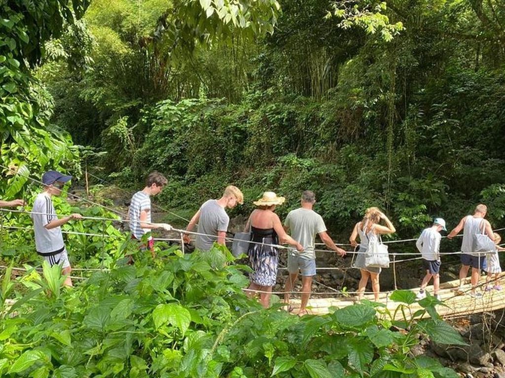 St. Vincent: Dark View Falls Tour