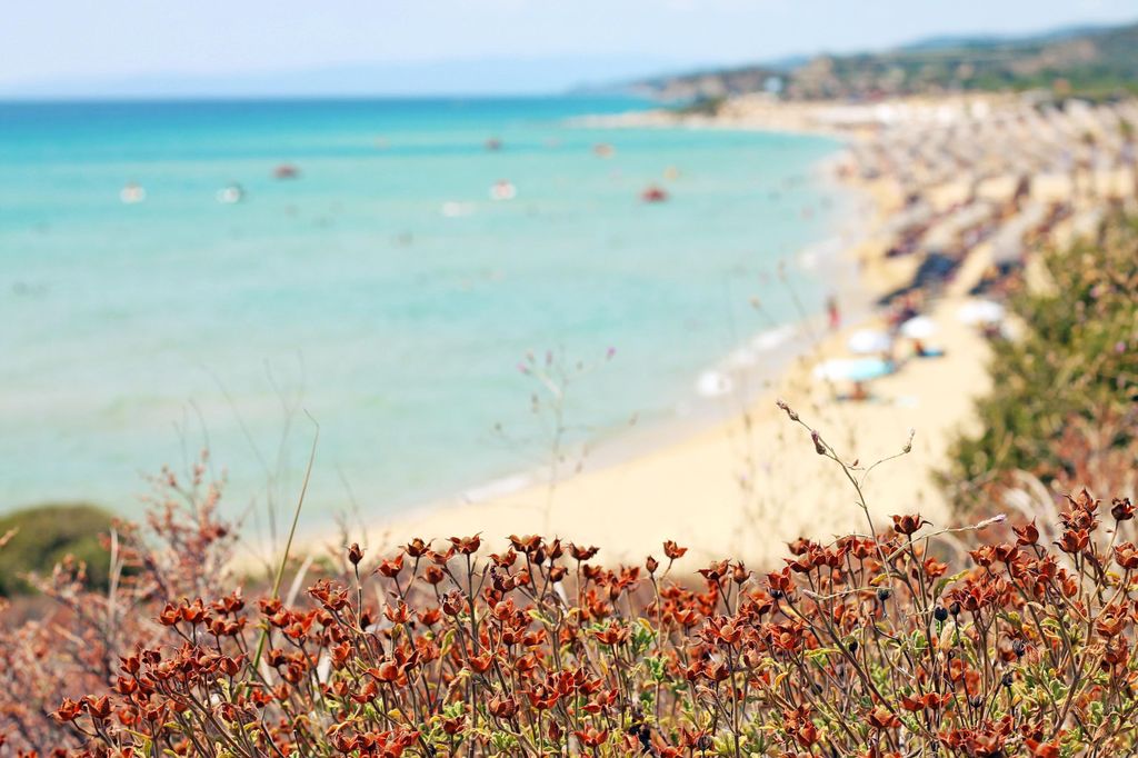 Von Kavala: Ausflug zum Strand von Ammolofoi